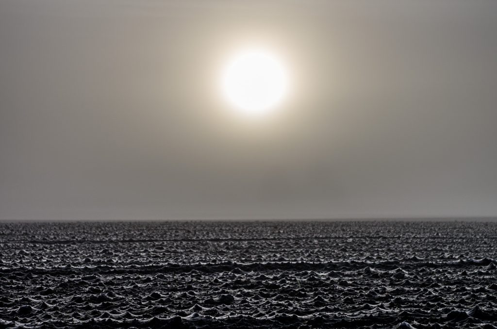 Alt-text Macro photograph of a frost-covered ploughed field on a foggy morning in Søndersø, Funen, Denmark, the entire surface blanketed in spider webs catching the pale morning light.